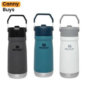Stanley IceFlow Stainless Steel Bottle (650ML) in Pakistan - Canny Buys