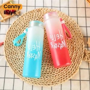 Frosted Glass Water Bottle (480 ml ) in Pakistan - Canny Buys