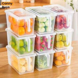 Fridge Storage Box in Pakistan - Canny Buys